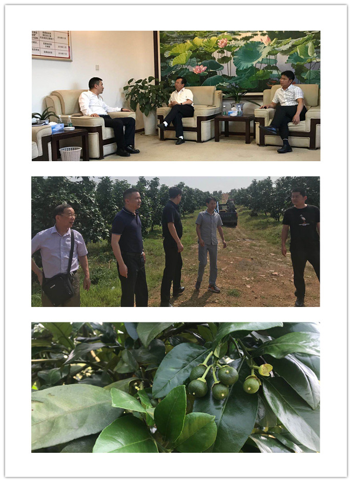 XPJ(中国大陆)有限公司官网