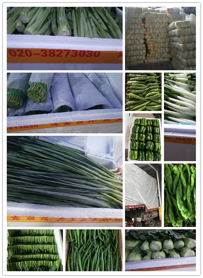 XPJ(中国大陆)有限公司官网