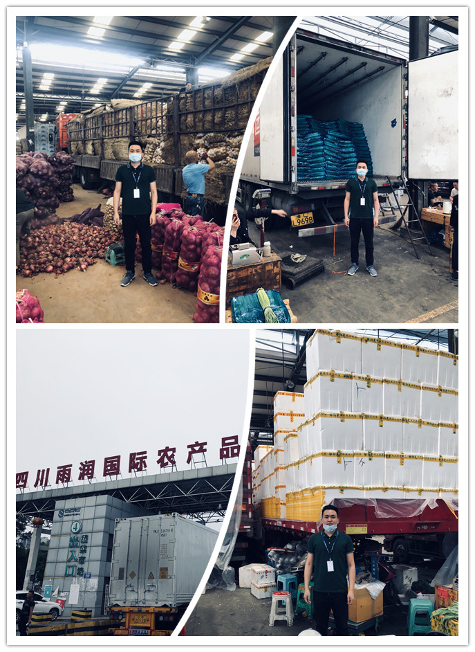 XPJ(中国大陆)有限公司官网