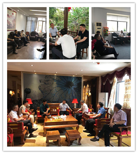 XPJ(中国大陆)有限公司官网