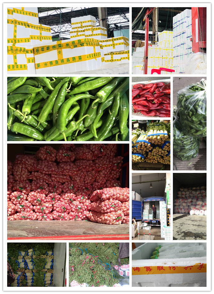 XPJ(中国大陆)有限公司官网