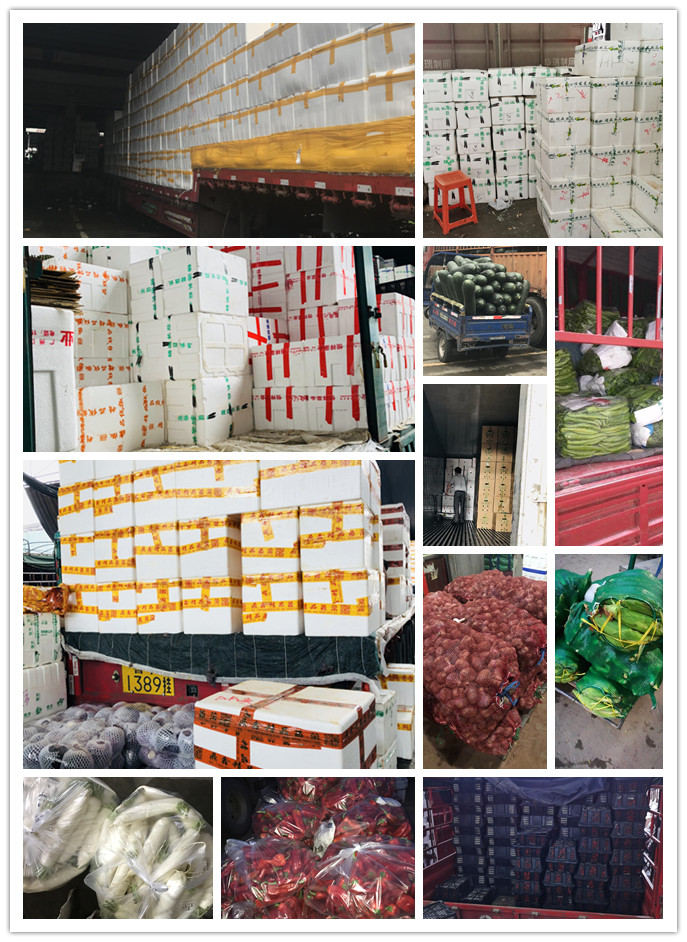 XPJ(中国大陆)有限公司官网