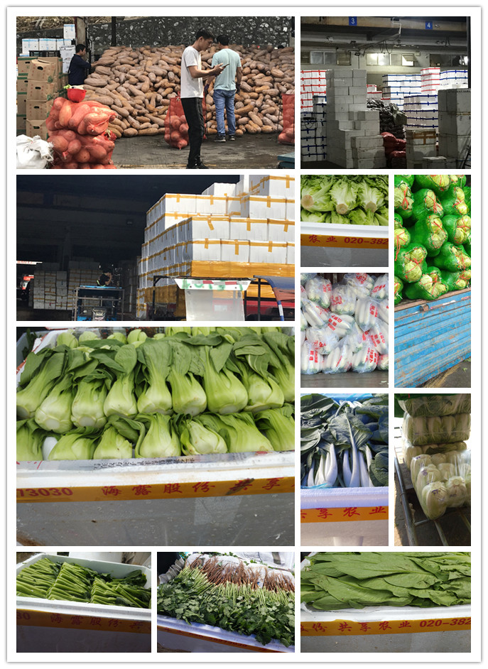 XPJ(中国大陆)有限公司官网