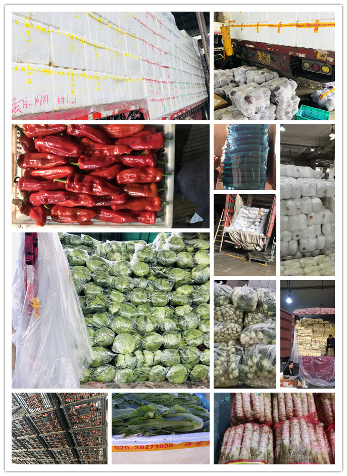 XPJ(中国大陆)有限公司官网