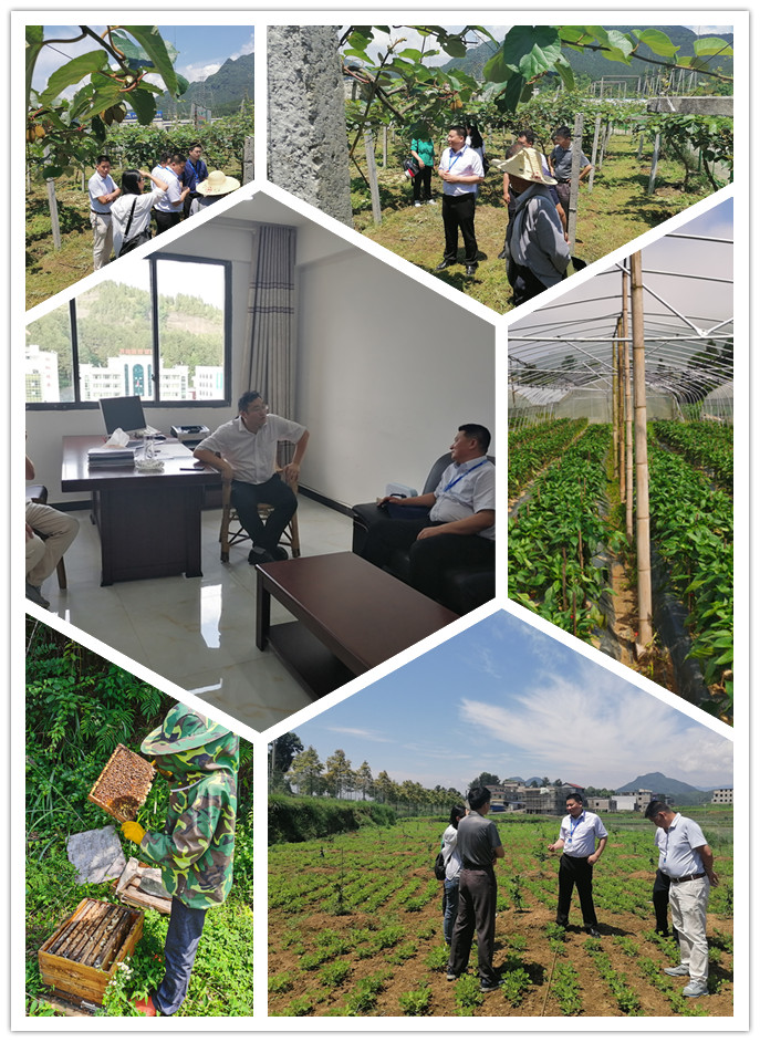 XPJ(中国大陆)有限公司官网