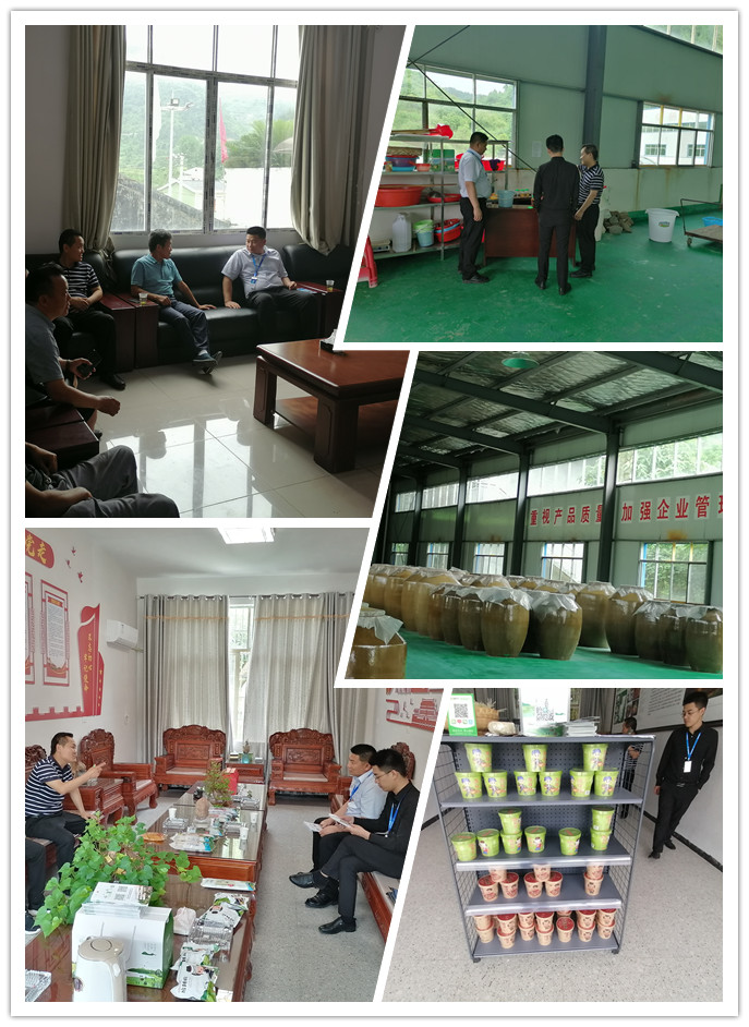 XPJ(中国大陆)有限公司官网