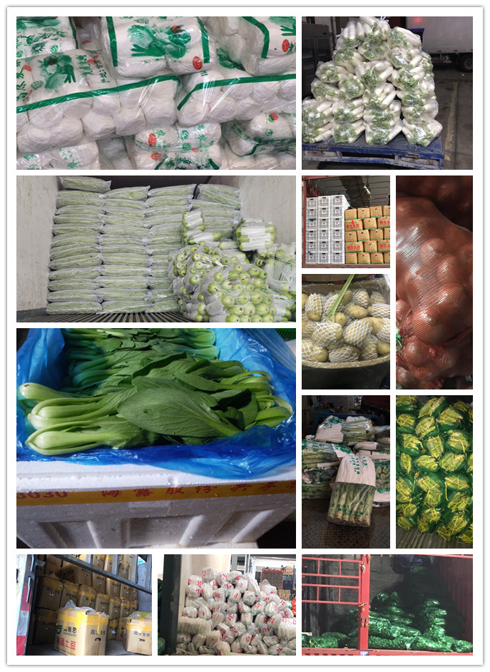 XPJ(中国大陆)有限公司官网