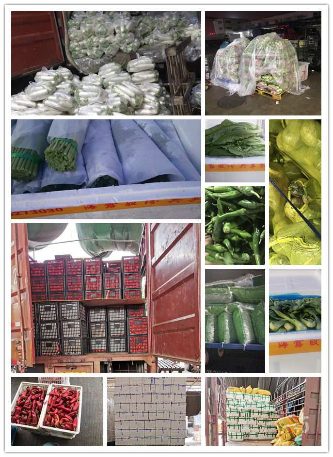 XPJ(中国大陆)有限公司官网