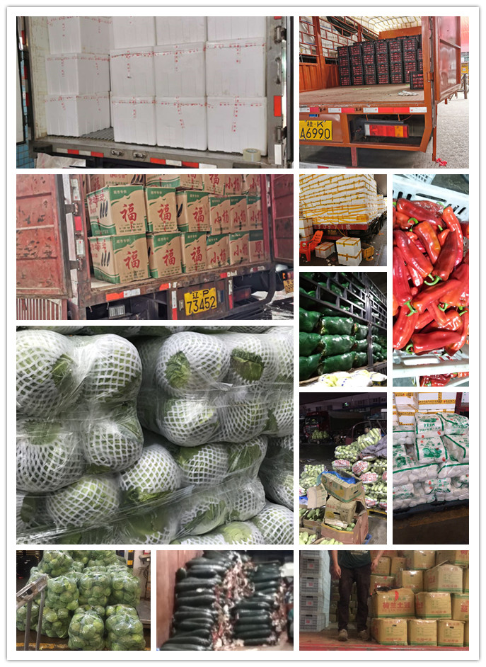 XPJ(中国大陆)有限公司官网