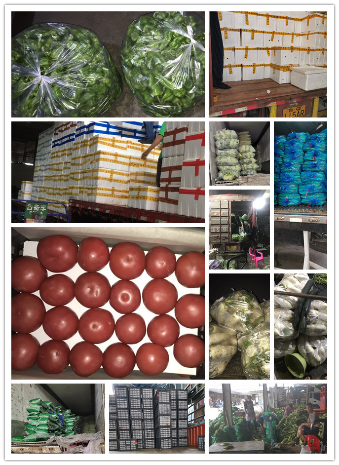 XPJ(中国大陆)有限公司官网