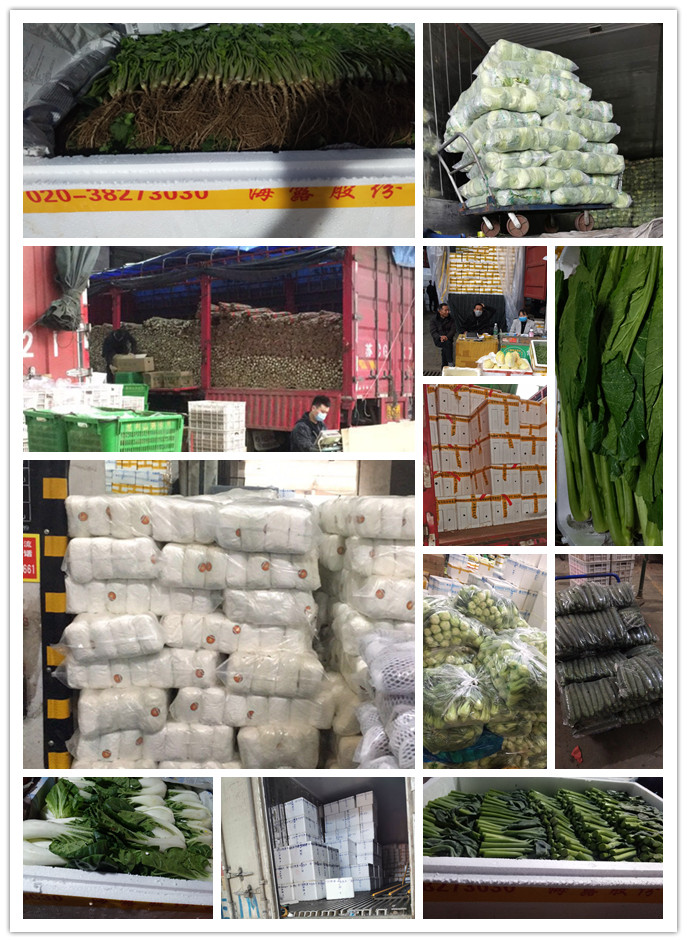 XPJ(中国大陆)有限公司官网