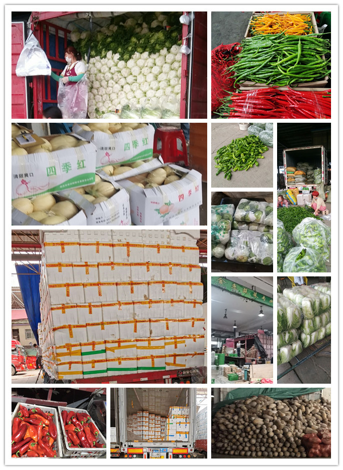 XPJ(中国大陆)有限公司官网