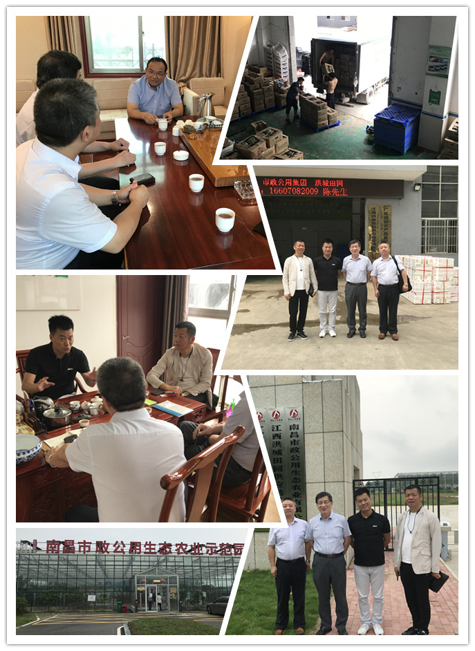 XPJ(中国大陆)有限公司官网