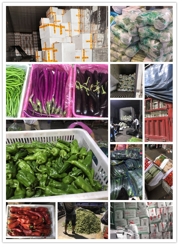 XPJ(中国大陆)有限公司官网