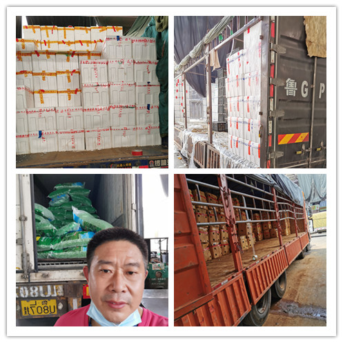 XPJ(中国大陆)有限公司官网