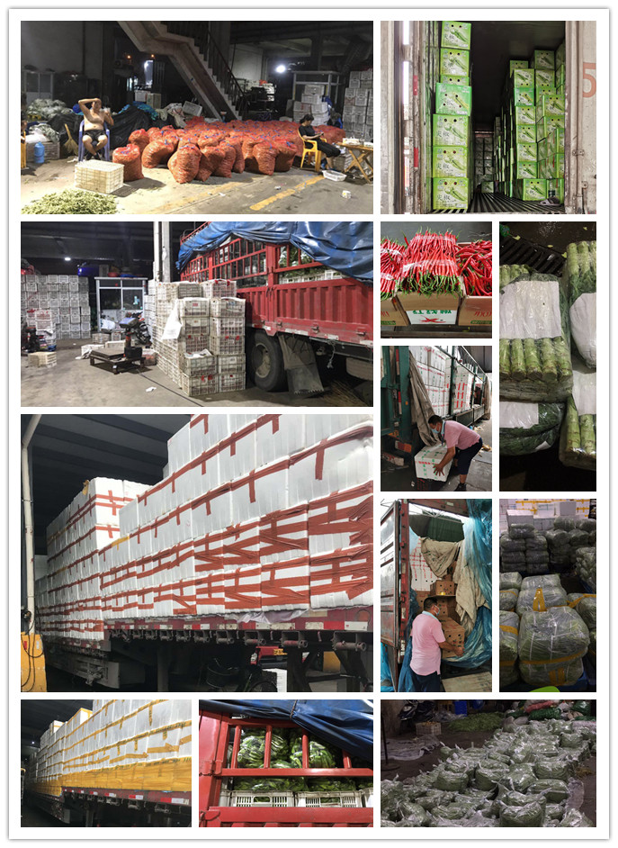 XPJ(中国大陆)有限公司官网