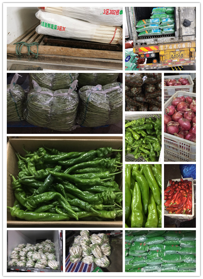 XPJ(中国大陆)有限公司官网