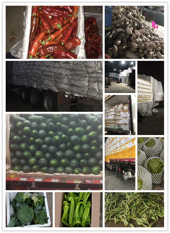 XPJ(中国大陆)有限公司官网