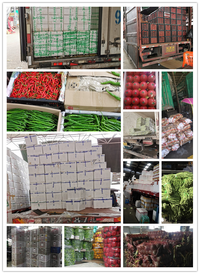 XPJ(中国大陆)有限公司官网