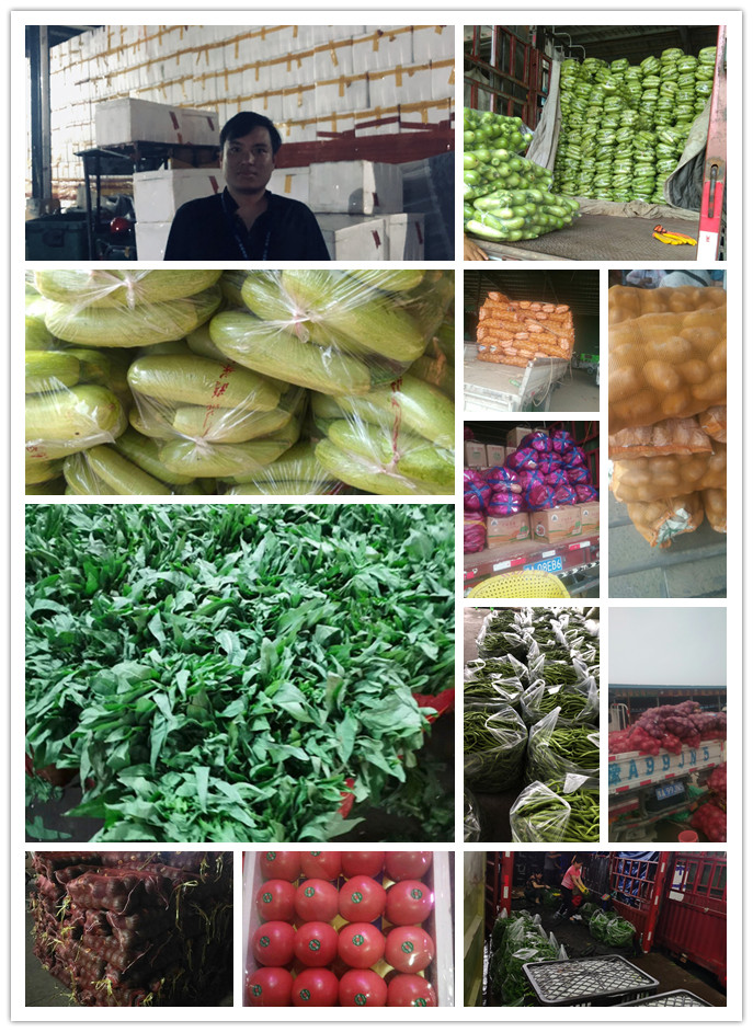 XPJ(中国大陆)有限公司官网