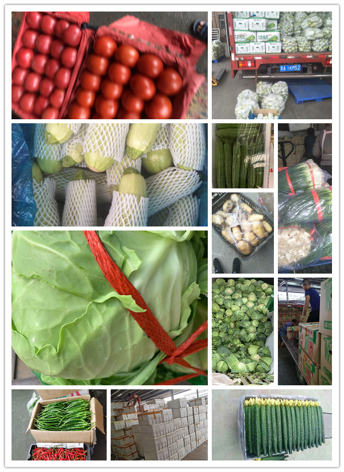 XPJ(中国大陆)有限公司官网