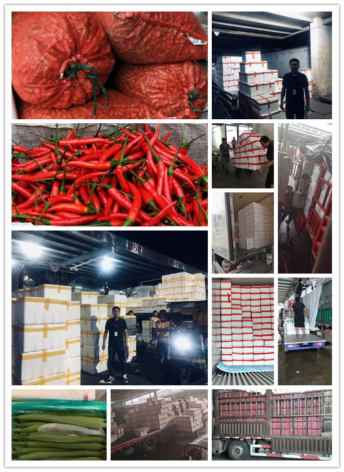 XPJ(中国大陆)有限公司官网