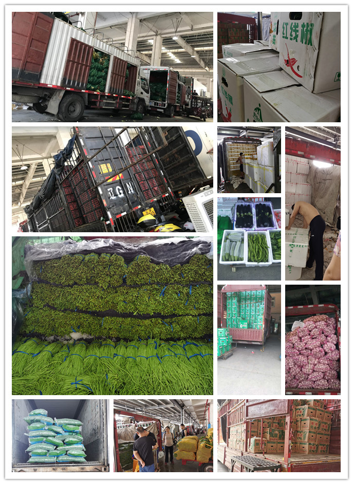 XPJ(中国大陆)有限公司官网