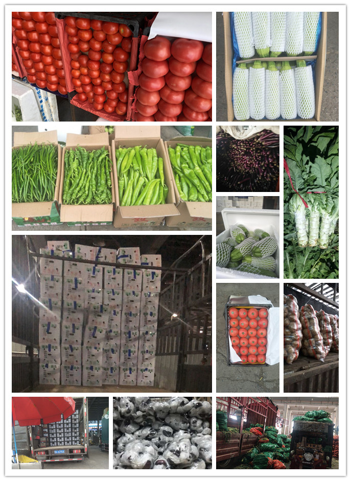 XPJ(中国大陆)有限公司官网