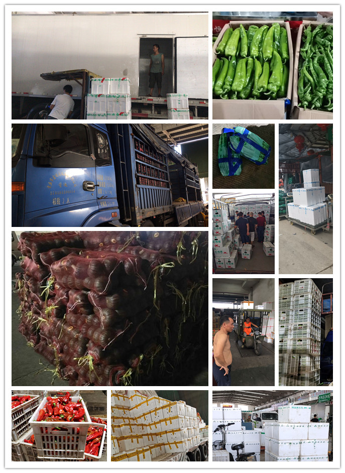 XPJ(中国大陆)有限公司官网