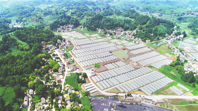 XPJ(中国大陆)有限公司官网