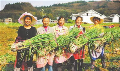 XPJ(中国大陆)有限公司官网