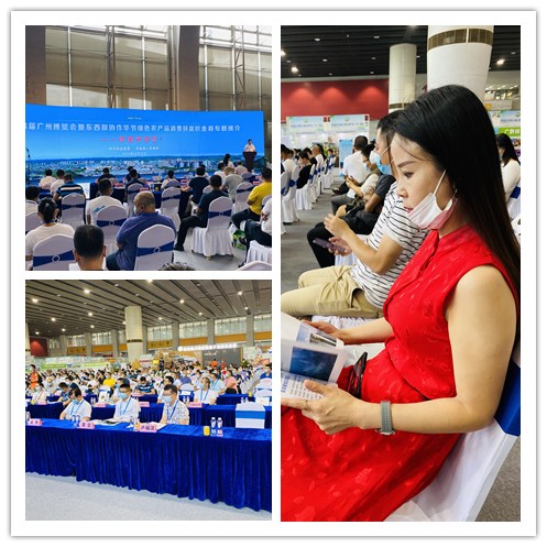 XPJ(中国大陆)有限公司官网