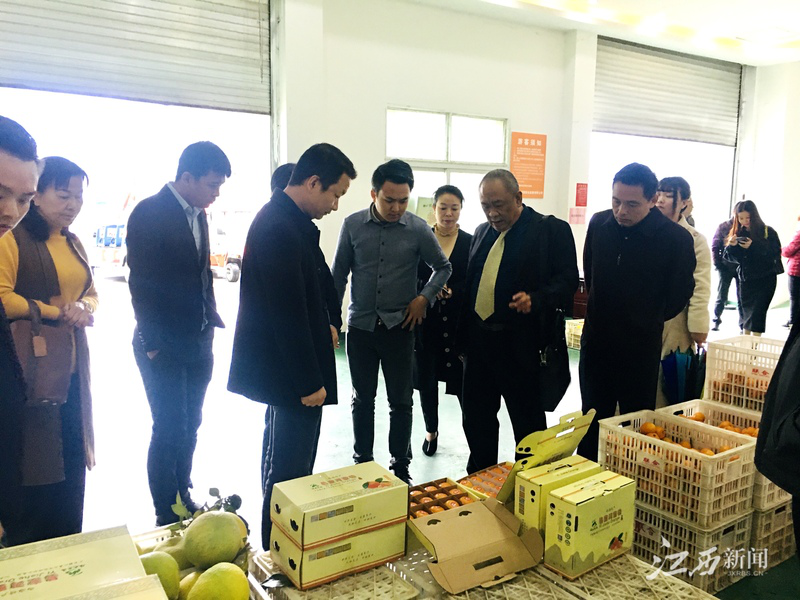 XPJ(中国大陆)有限公司官网