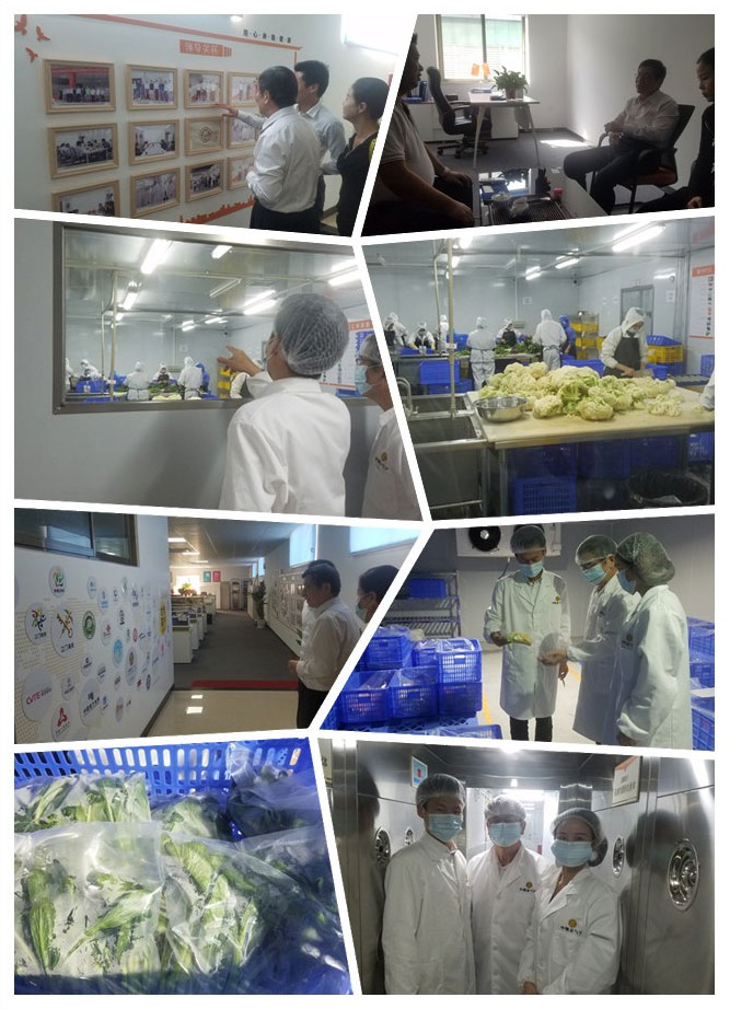 XPJ(中国大陆)有限公司官网