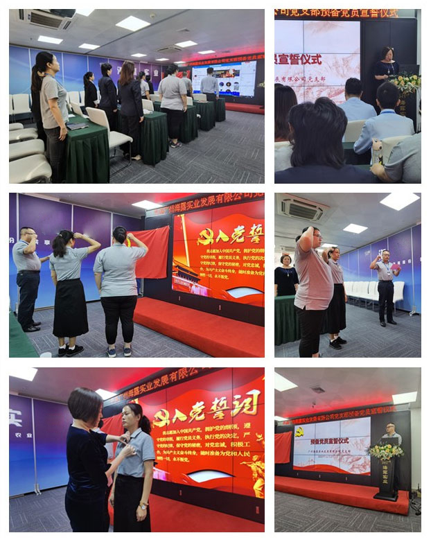 XPJ(中国大陆)有限公司官网