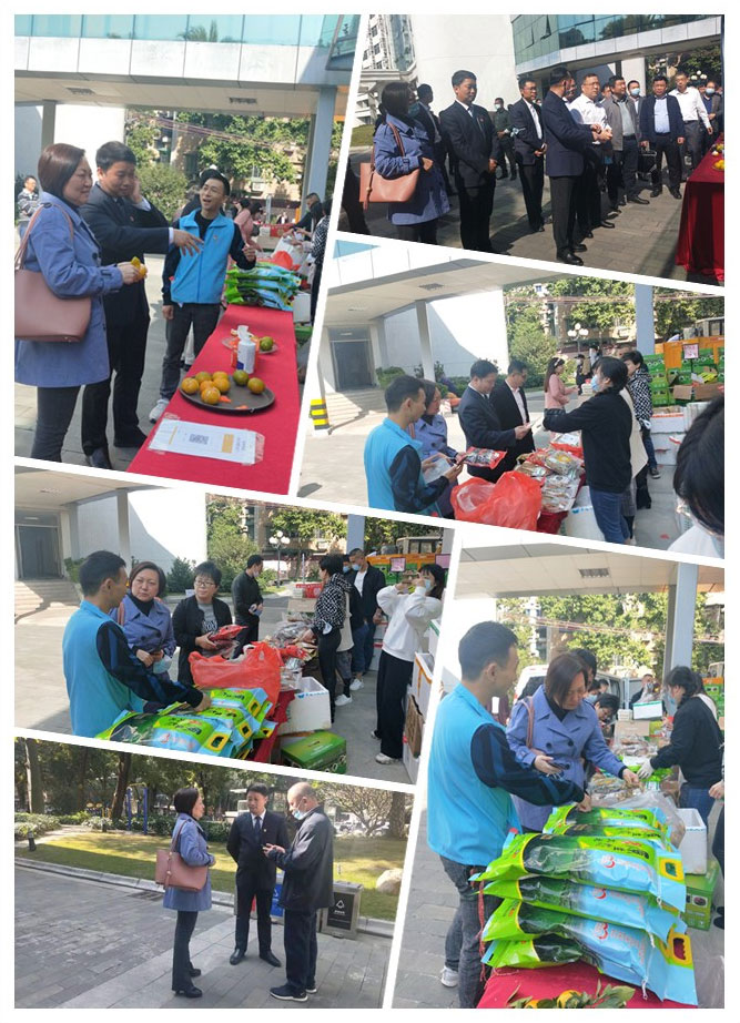 XPJ(中国大陆)有限公司官网