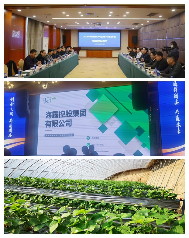 XPJ(中国大陆)有限公司官网