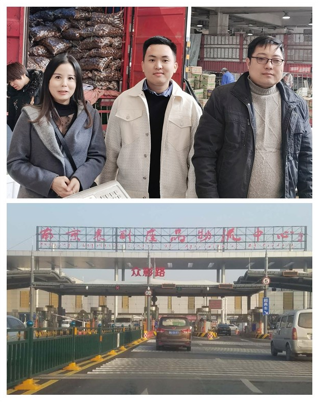 XPJ(中国大陆)有限公司官网