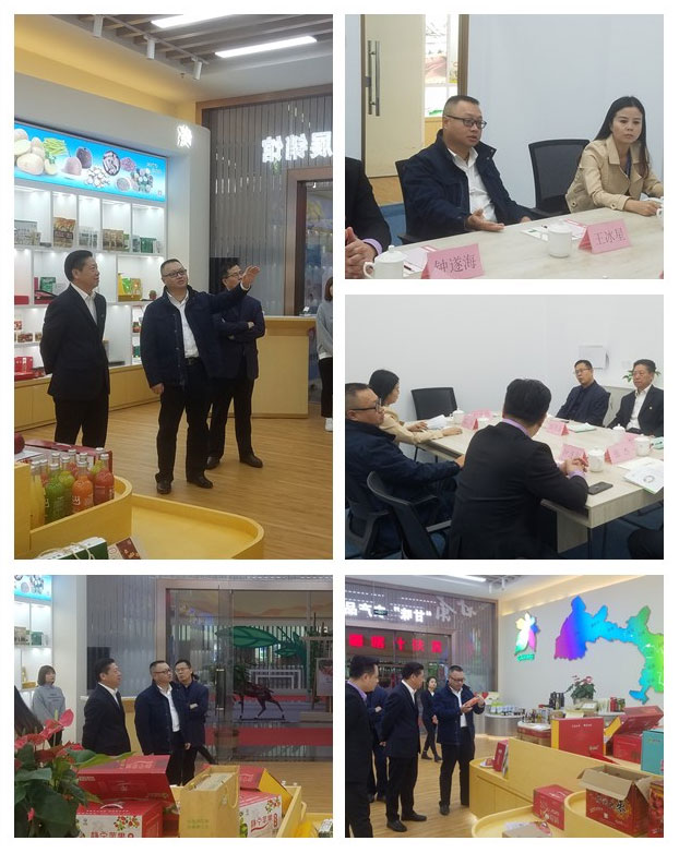 XPJ(中国大陆)有限公司官网