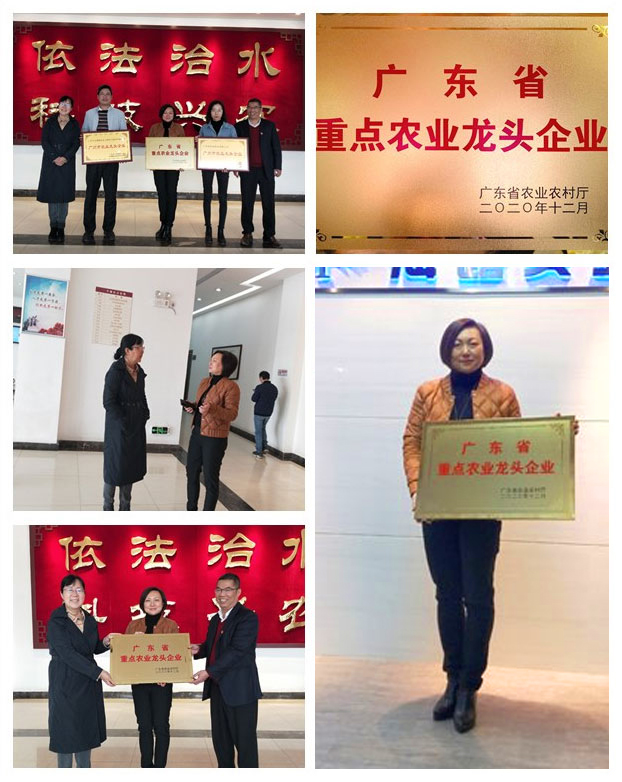 XPJ(中国大陆)有限公司官网