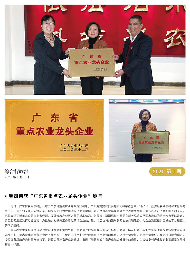 XPJ(中国大陆)有限公司官网