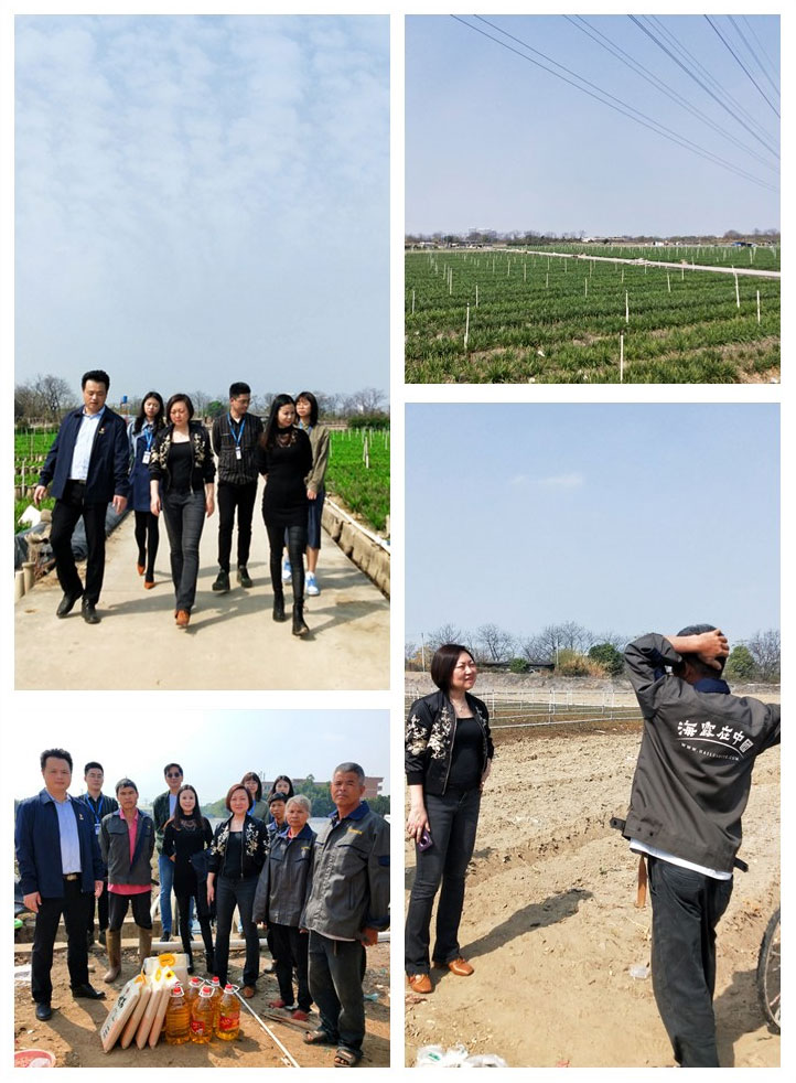 XPJ(中国大陆)有限公司官网