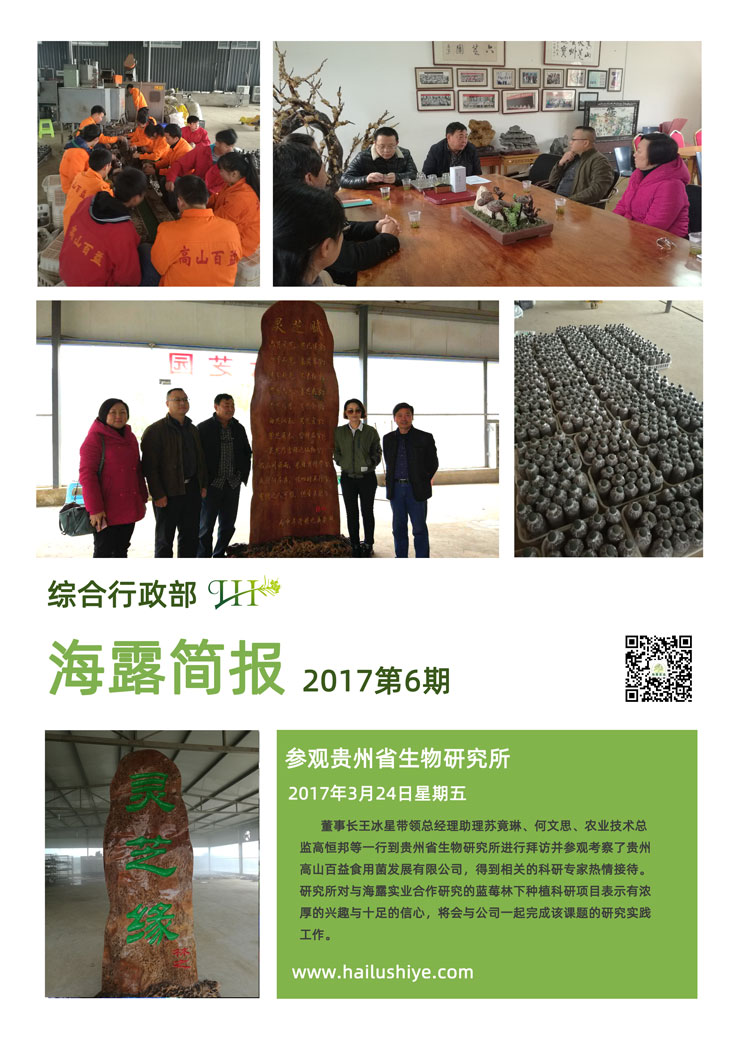 XPJ(中国大陆)有限公司官网