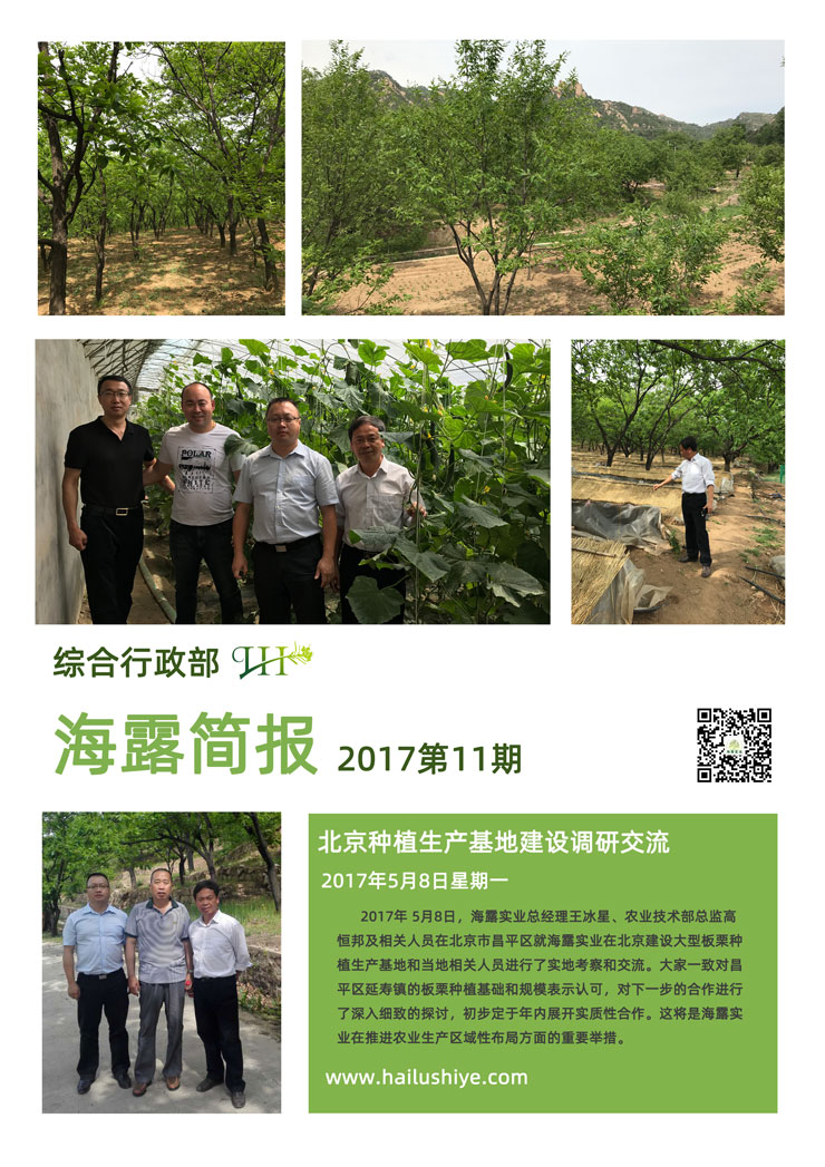 XPJ(中国大陆)有限公司官网