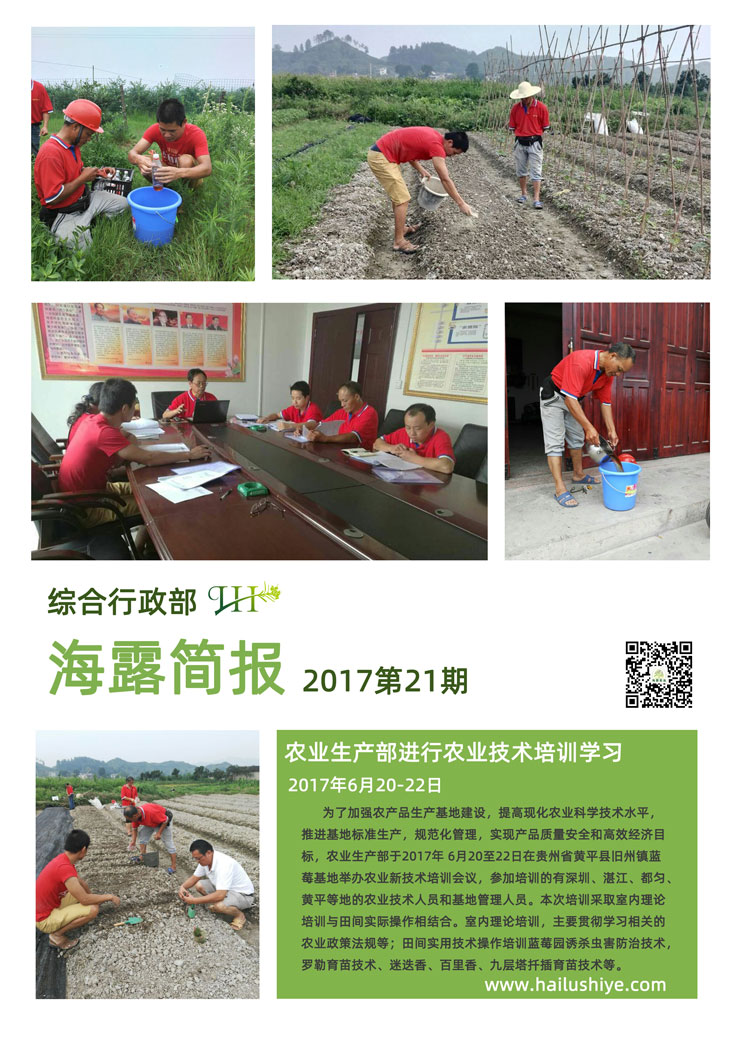 XPJ(中国大陆)有限公司官网