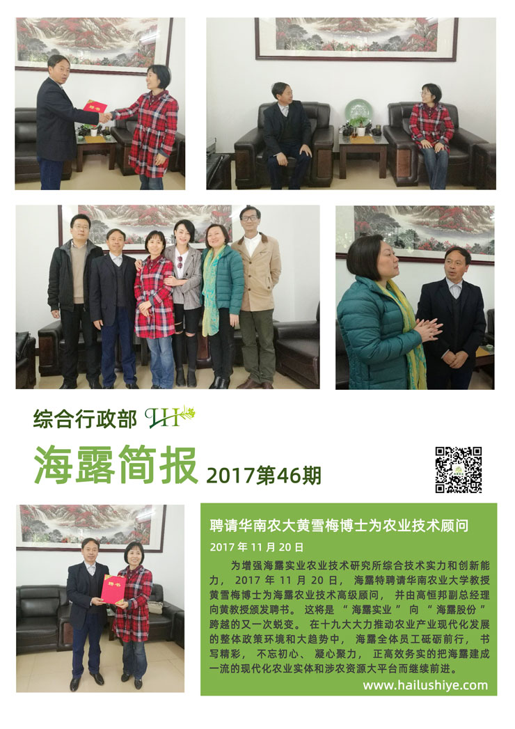 XPJ(中国大陆)有限公司官网