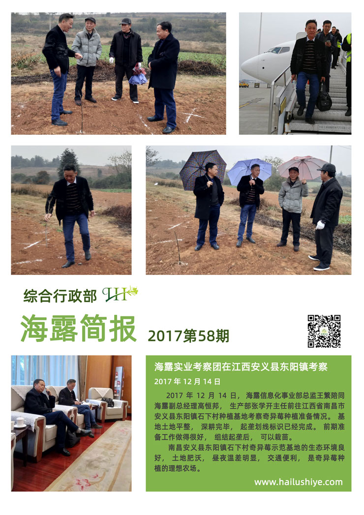 XPJ(中国大陆)有限公司官网