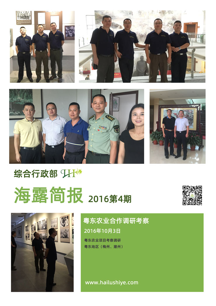 XPJ(中国大陆)有限公司官网