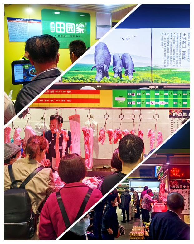 XPJ(中国大陆)有限公司官网