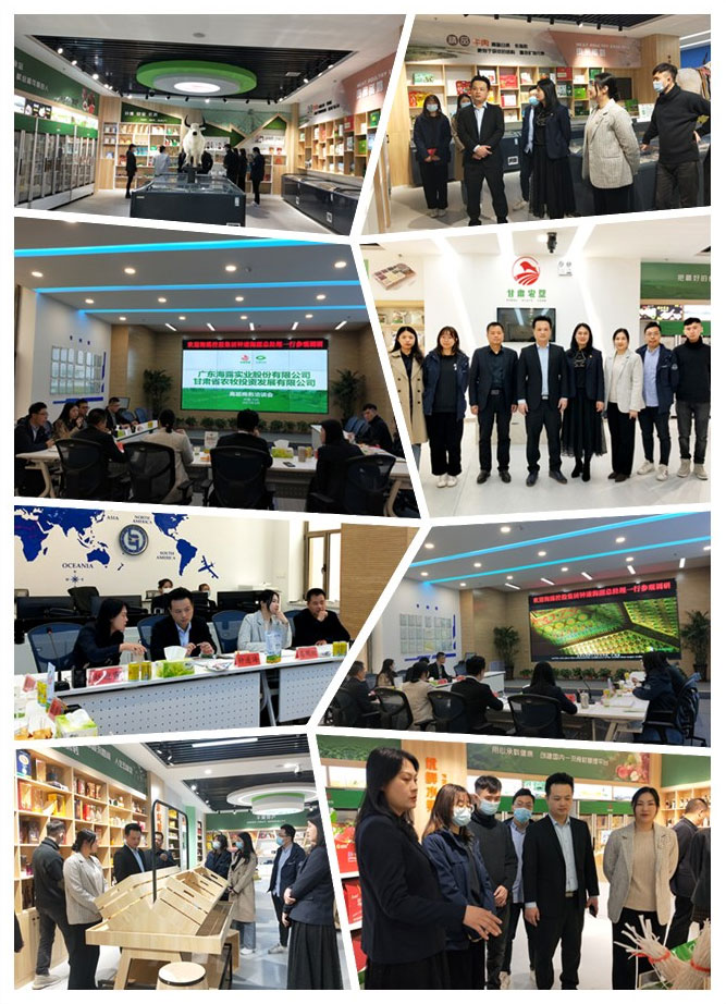 XPJ(中国大陆)有限公司官网